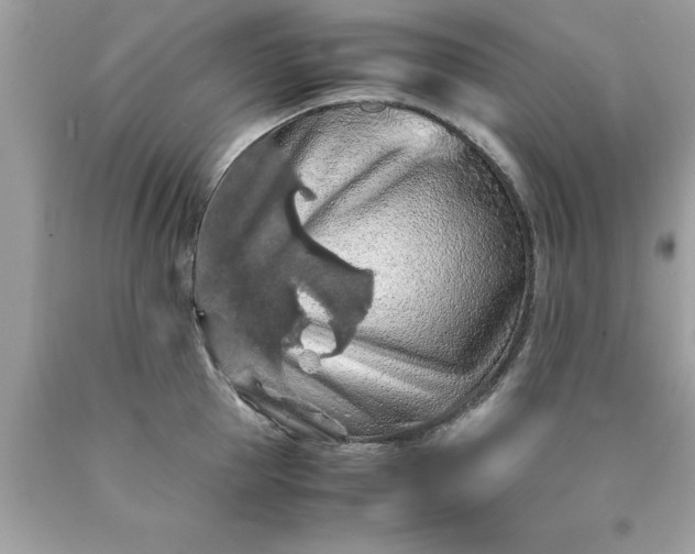 X0000090490953200707272337