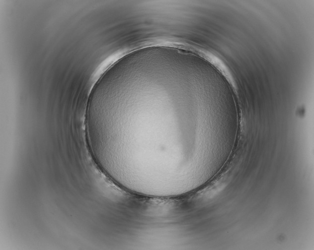X0000090490954200707272337