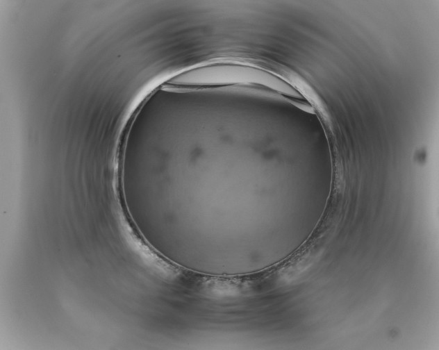 X0000090490955200707272337