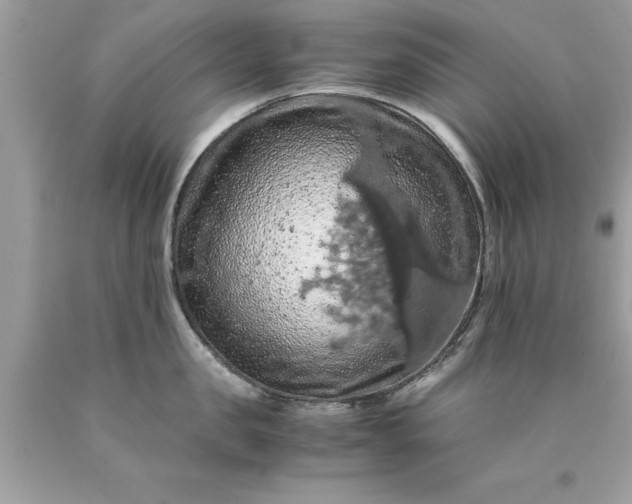 X0000090490957200707272337