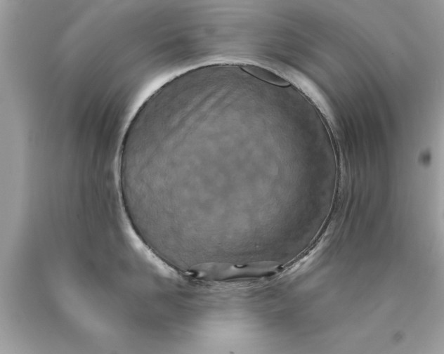 X0000090490958200707272337
