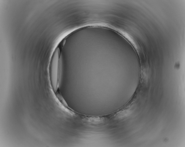 X0000090490959200707272337