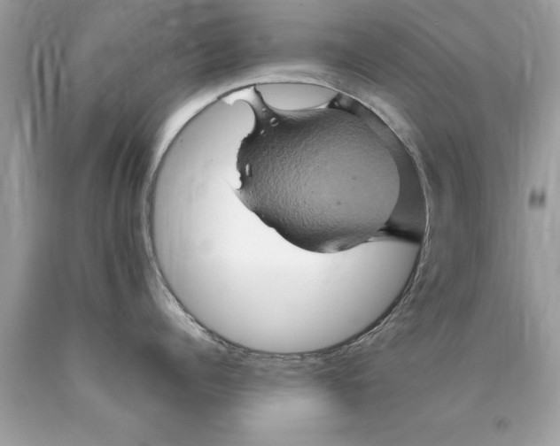 X0000090490960200707272337