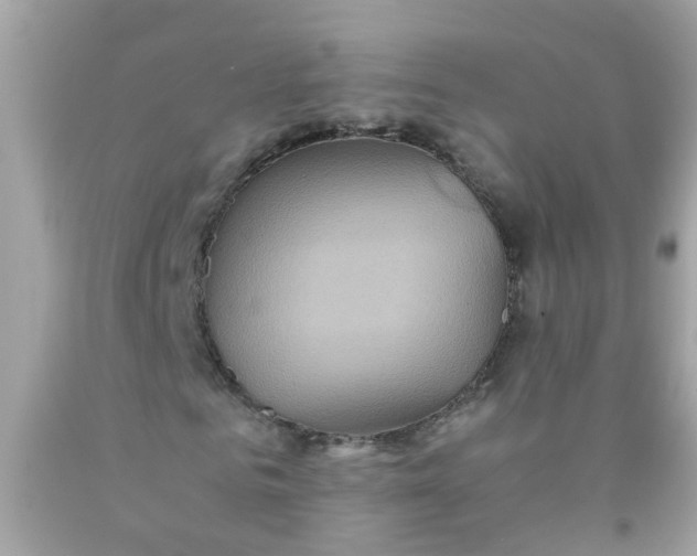 X0000090490961200707272337