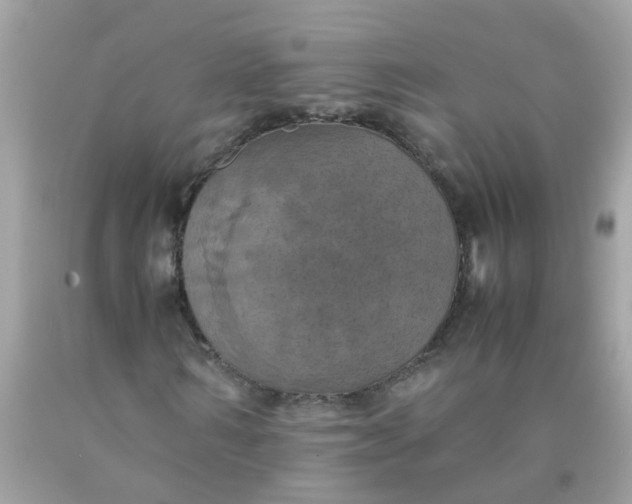 X0000090490962200707272337