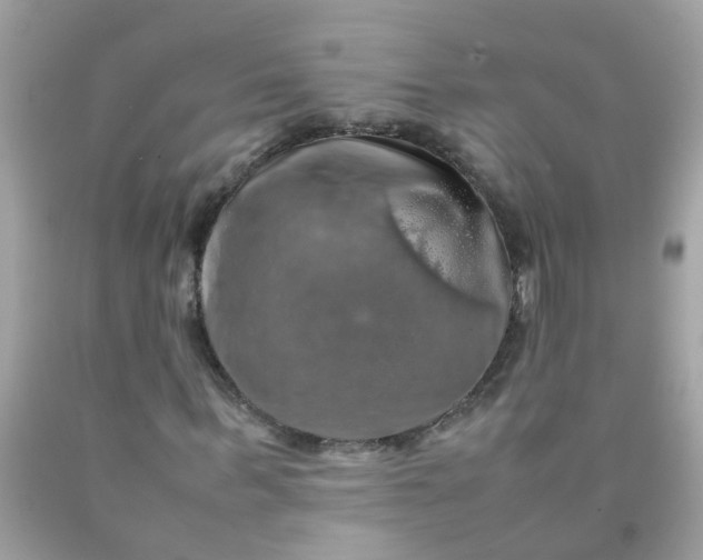 X0000090490963200707272337