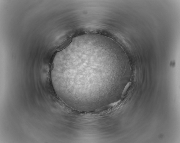 X0000090490964200707272337