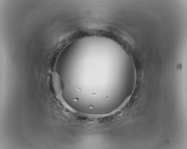 X0000090490965200707272337