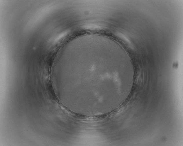 X0000090490966200707272337