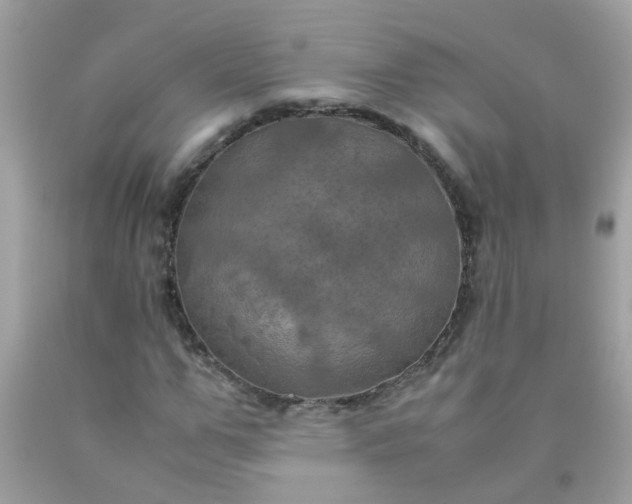 X0000090490967200707272337