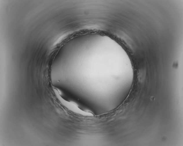 X0000090490968200707272337