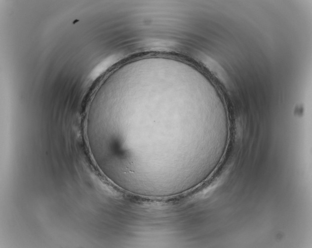 X0000090490970200707272337