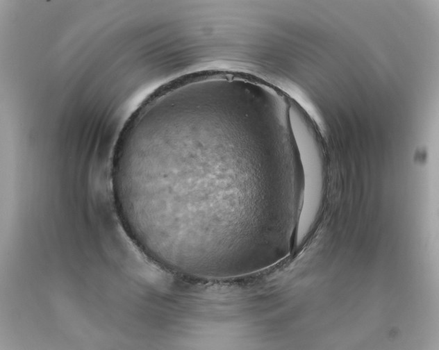 X0000090490972200707272337