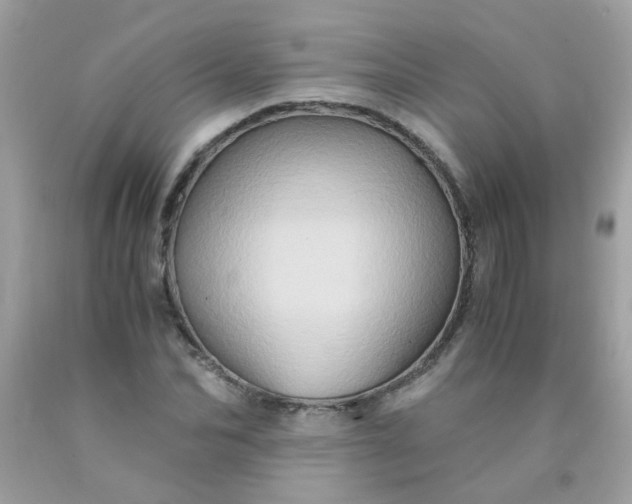 X0000090490974200707272337