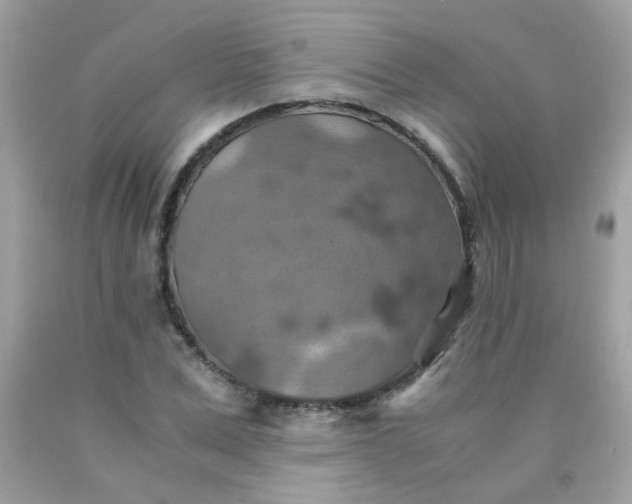 X0000090490975200707272337