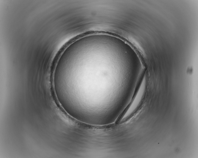 X0000090490976200707272337