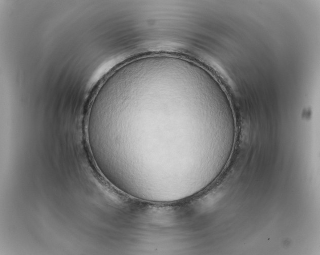 X0000090490978200707272337