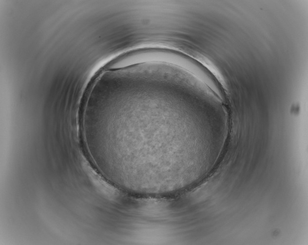 X0000090490980200707272337