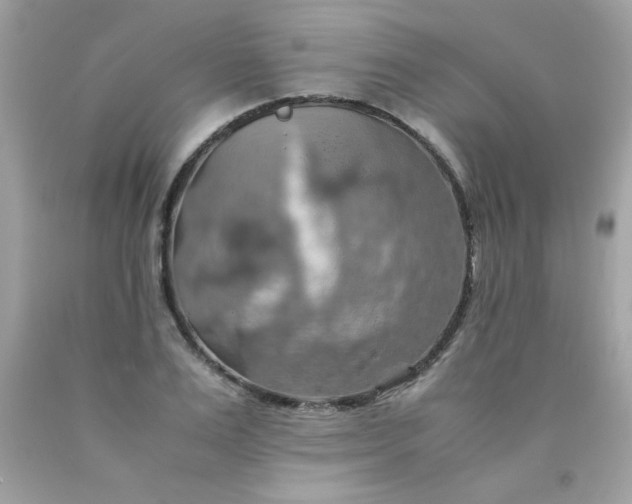 X0000090490983200707272337