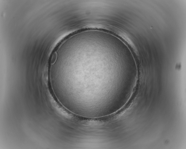 X0000090490984200707272337