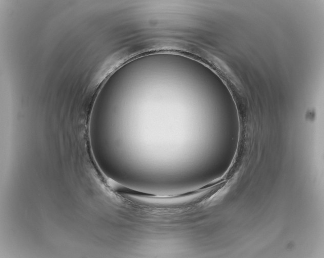 X0000090490985200707272337