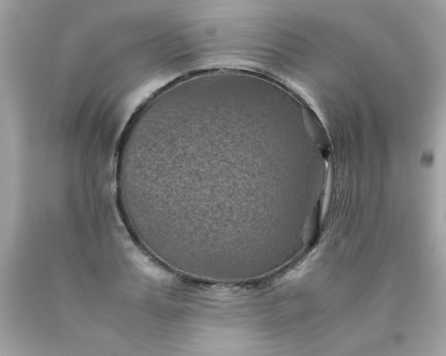 X0000090490987200707272337