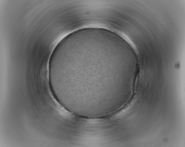 X0000090490988200707272337