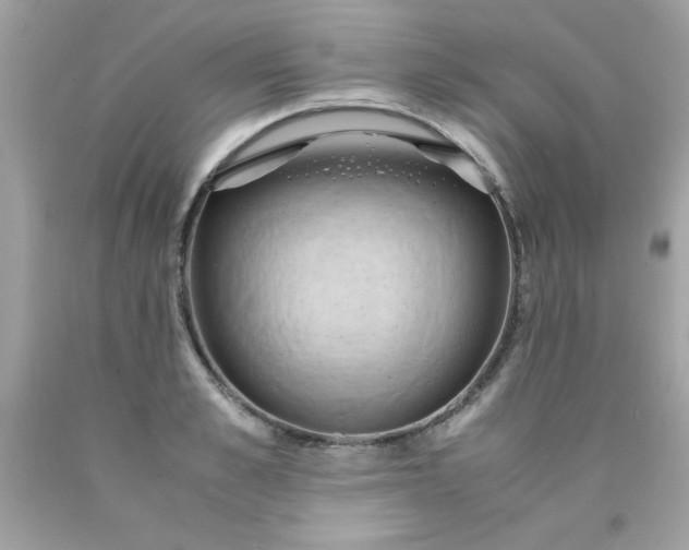 X0000090490989200707272336