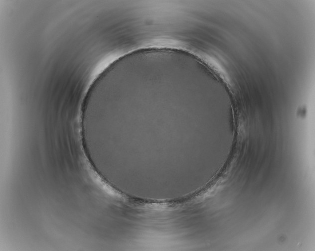 X0000090490990200707272336
