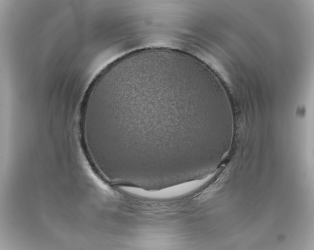 X0000090490991200707272336