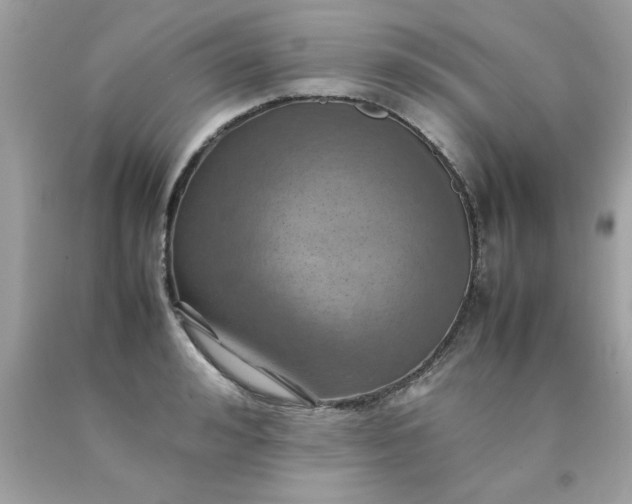 X0000090490992200707272336