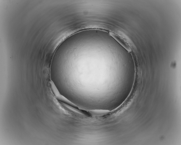 X0000090490993200707272336