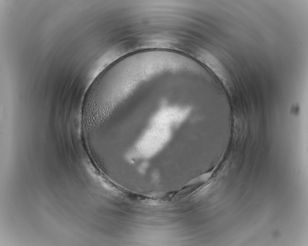 X0000090490994200707272336