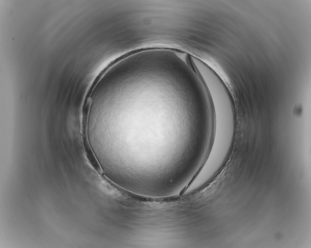 X0000090490996200707272336