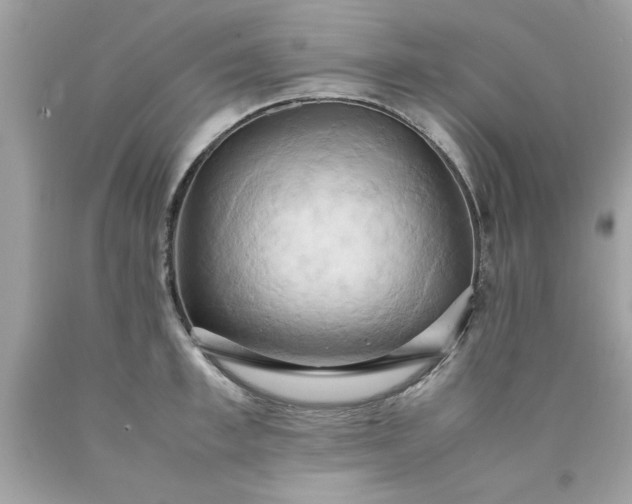 X0000090490997200707272336