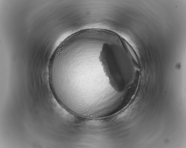 X0000090490998200707272336
