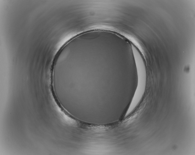 X0000090490999200707272336