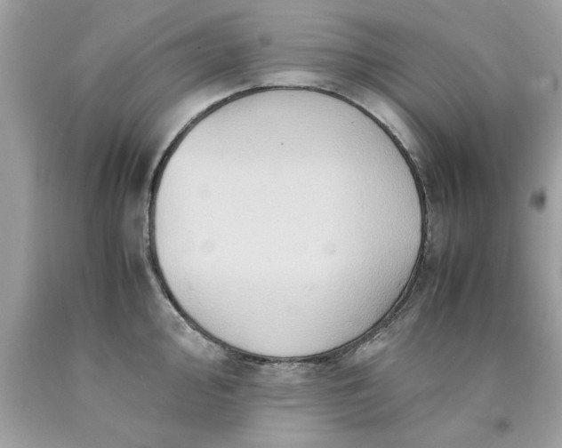 X0000090491000200707272336
