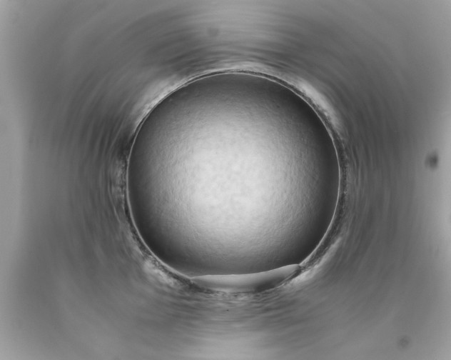 X0000090491001200707272336