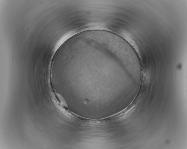 X0000090491002200707272336