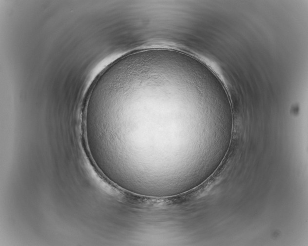 X0000090491003200707272336
