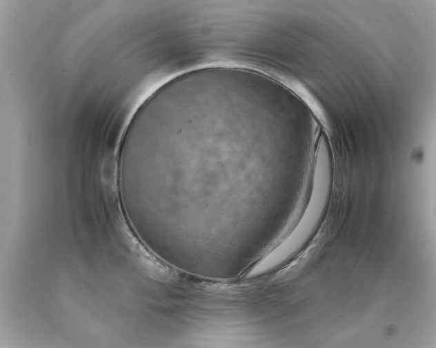 X0000090491004200707272336
