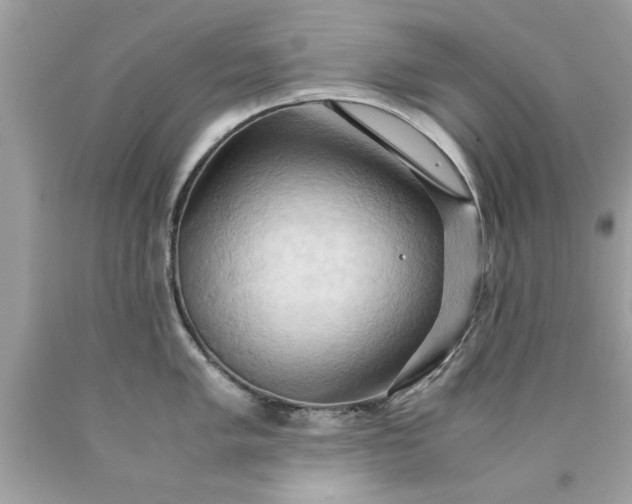 X0000090491005200707272336