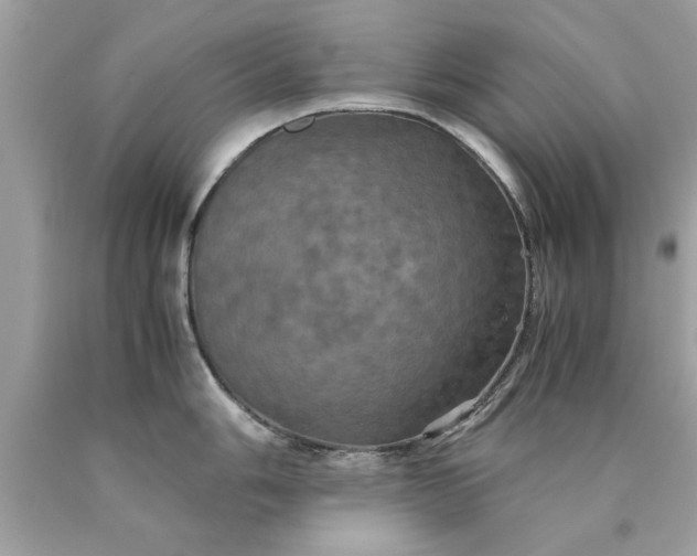 X0000090491006200707272336