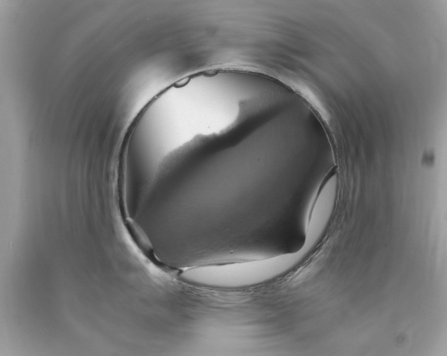 X0000090491007200707272336