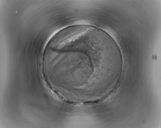 X0000090491008200707272336