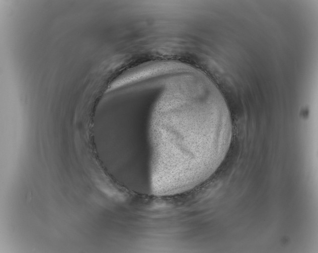 X0000090491009200707272336