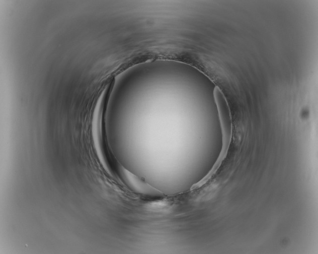 X0000090491010200707272336