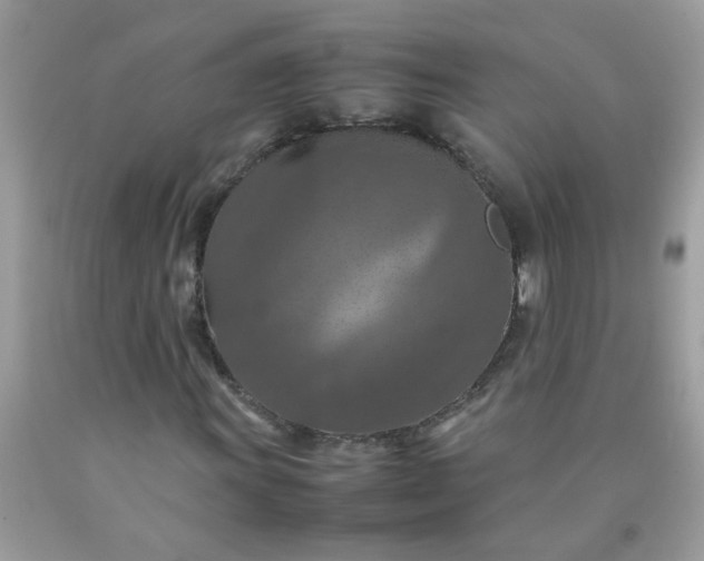 X0000090491011200707272336