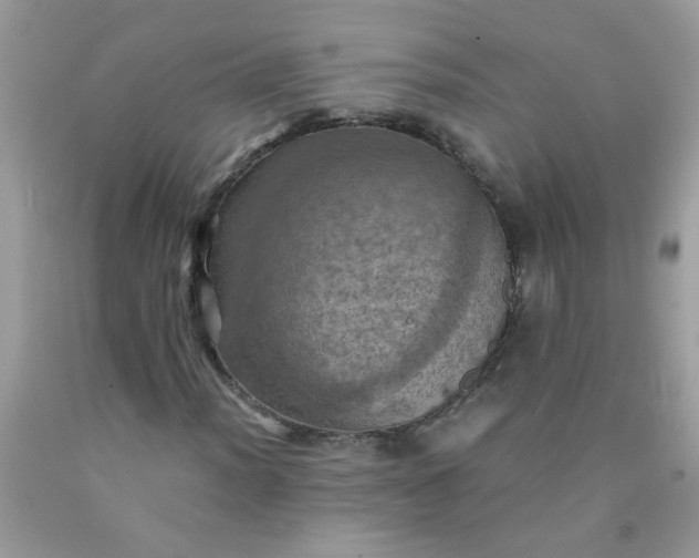 X0000090491012200707272336